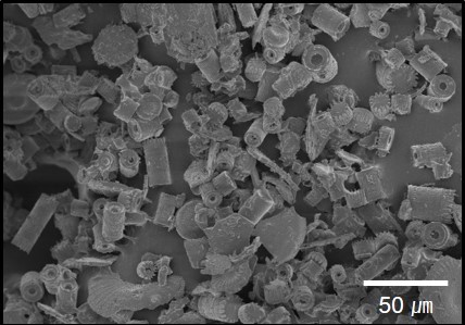 Diatomite(D1)3.jpg