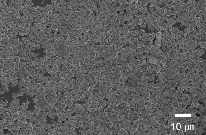 TCP(TCP1)3.jpg